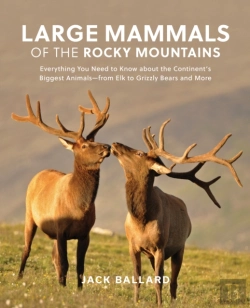 Bertrand.pt - Large Mammals Of The Rocky Mountains