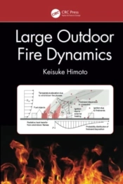Large Outdoor Fire Dynamics