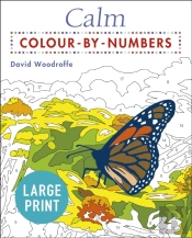 Large Print Calm Colour-By-Numbers