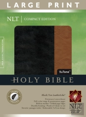 Large Print Compact Bible-Nlt