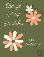 Large Print Sudoku