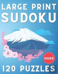 Large Print Sudoku