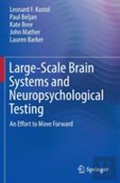 Large-Scale Brain Systems And Neuropsychological Testing