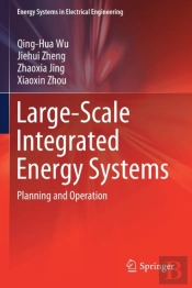 Large-Scale Integrated Energy Systems