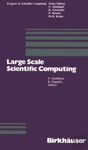 Large Scale Scientific Computing