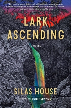 Bertrand.pt - Lark Ascending