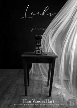 Bertrand.pt - Larks