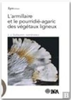 Bertrand.pt - L'Armillaire Et Le Pourridie-Agaric Des Vegetaux Ligneux