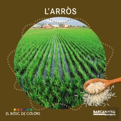 Bertrand.pt - L'Arròs