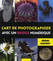 L'Art De Photographier Avec Un Bridge Numérique