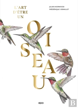 Bertrand.pt - L'Art D'Être Un Oiseau