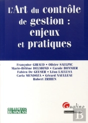 L'Art Du Contrôle De Gestion : Enjeux Et Pratiques
