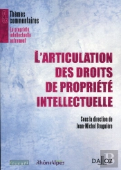 L'Articulation Des Droits De Propriété Intellectuelle