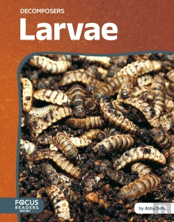 Bertrand.pt - Larvae