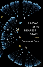 Larvae Of The Nearest Stars