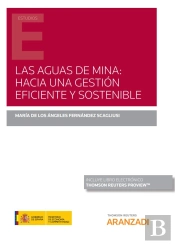 Las Aguas De Mina: Hacia Una Gestión Eficiente Y Sostenible (Papel + E-Book)