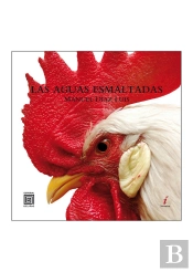 Las Aguas Esmaltadas