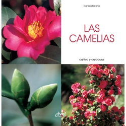 Bertrand.pt - Las Camelias - Cultivo Y Cuidados