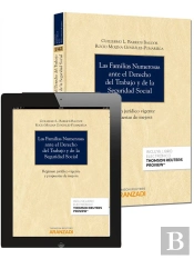Las Familias Numerosas Ante El Derecho Del Trabajo Y De La Seguridad Social (Papel + E-Book)