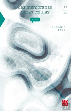 Bertrand.pt - Las Membranas De Las Células