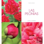 Las Peonías - Cultivo Y Cuidados