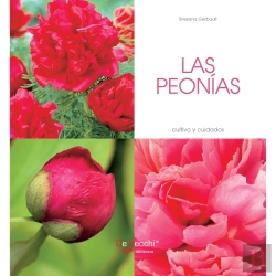 Bertrand.pt - Las Peonías - Cultivo Y Cuidados