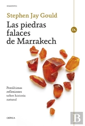 Las Piedras Falaces De Marrakech