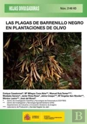 Las Plagas De Barrenillo Negro En Plantaciones De Olivo