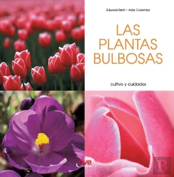 Bertrand.pt - Las Plantas Bulbosas - Cultivo Y Cuidados