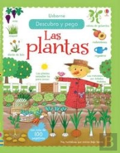 Las Plantas Descubro Y Pego