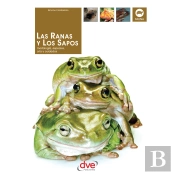 Las Ranas Y Los Sapos