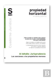 Las Sanciones A Los Propietarios Morosos