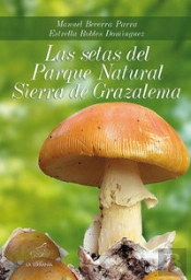 Las Setas Del Parque Natural Sierra De Grazalema