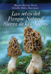 Las Setas Del Parque Natural Sierra De Las Nieves