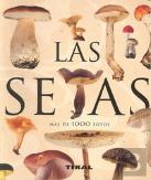 Las Setas