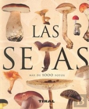 Las Setas