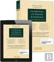 Las Soluciones A La Situación De Insolvencia (Papel + E-Book)