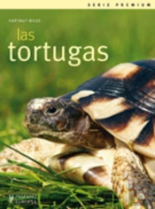 Las Tortugas