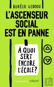 L'Ascenseur Social Est En Panne