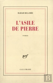 L'Asile De Pierre