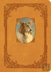 Lassie Come-Home