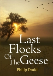 Last Flocks Of The Geese