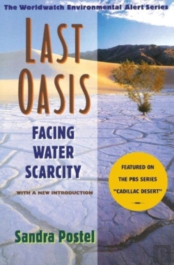 Bertrand.pt - Last Oasis