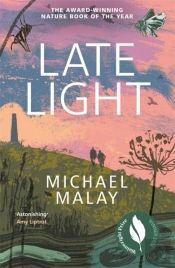 Late Light