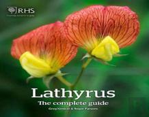 Lathyrus: The Complete Guide