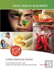 Latino American Cuisine