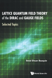 Lattice Quantum Field Theory Of The Dirac And Gauge Fields: Selected Topics