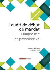 L'Audit De Début De Mandat ; Diagnostic Et Prospective