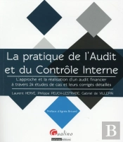 L'Audit Par La Pratique