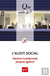 L'Audit Social (2e Édition)